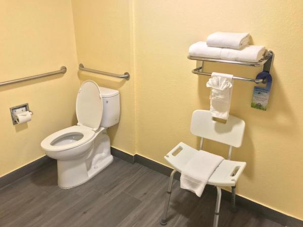 Days Inn by Wyndham San Antonio Airport : photo 5 de la chambre chambre lit king-size avec douche accessible en fauteuil roulant - adaptée aux personnes malentendantes/à mobilité réduite - non-fumeurs