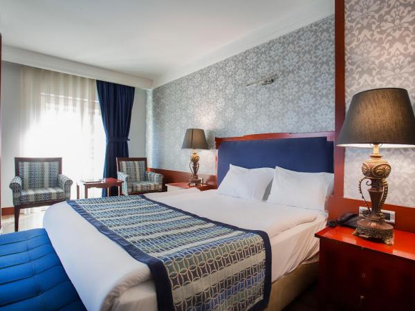 Boutique Princess Hotel : photo 10 de la chambre chambre lit king-size standard