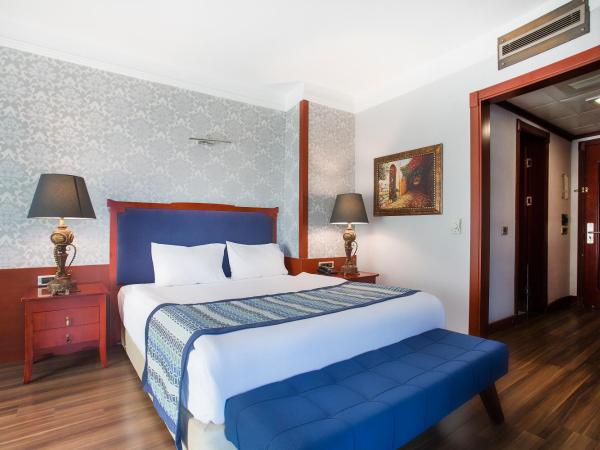 Boutique Princess Hotel : photo 3 de la chambre chambre lit king-size standard