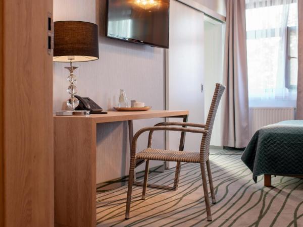 Plaza Boutique Hotel : photo 3 de la chambre chambre simple standard