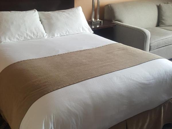 Chateau Louis Hotel & Conference Centre : photo 5 de la chambre chambre lit queen-size