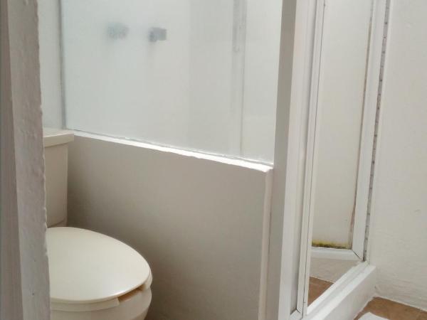 Hostal Cuija Coyoacan Berlin 268 Coyoacan : photo 2 de la chambre chambre deluxe