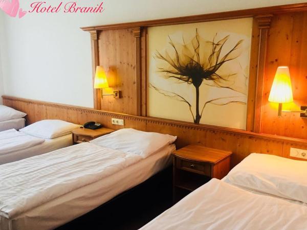 Hotel Braník : photo 3 de la chambre chambre quadruple standard