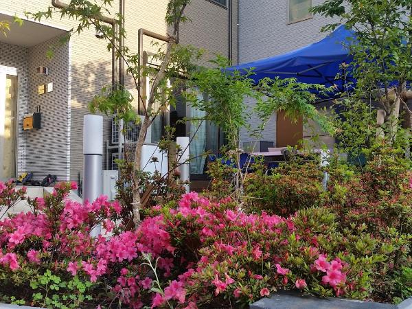 Tokyo Guest House 2020 : photo 2 de la chambre chambre quadruple confort