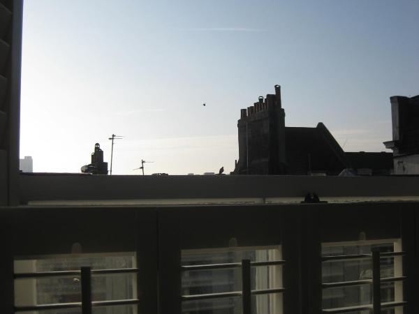 Aquarium Guest House : photo 6 de la chambre chambre double