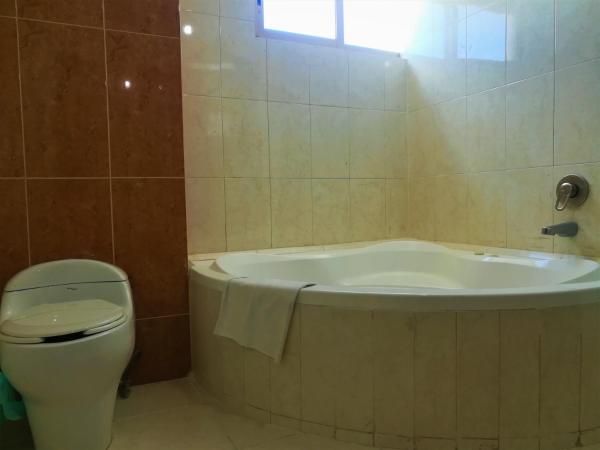 Hotel El Marques : photo 4 de la chambre suite junior