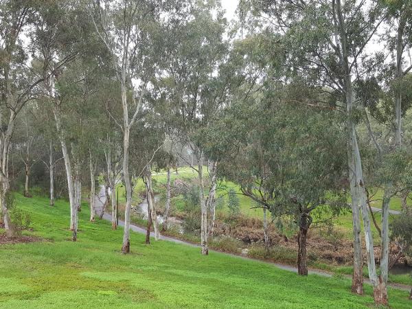 Levi Adelaide Holiday Park : photo 8 de la chambre torrens cabin