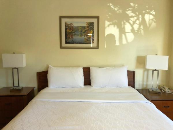 Monticello Motel : photo 1 de la chambre chambre standard lit queen-size