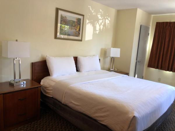 Monticello Motel : photo 4 de la chambre chambre lit queen-size deluxe