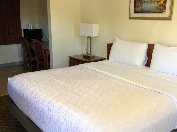 Monticello Motel : photo 5 de la chambre chambre lit king-size