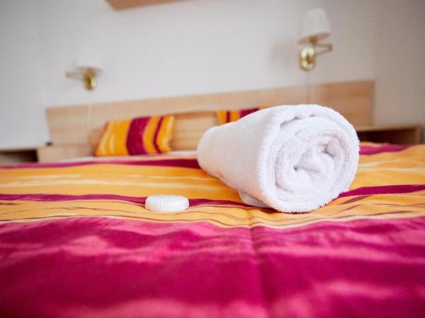 University Hotel : photo 9 de la chambre chambre double avec kitchenette