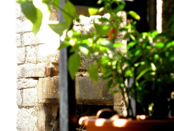 Pansion Sibenik : photo 3 de la chambre studio (2 adultes)