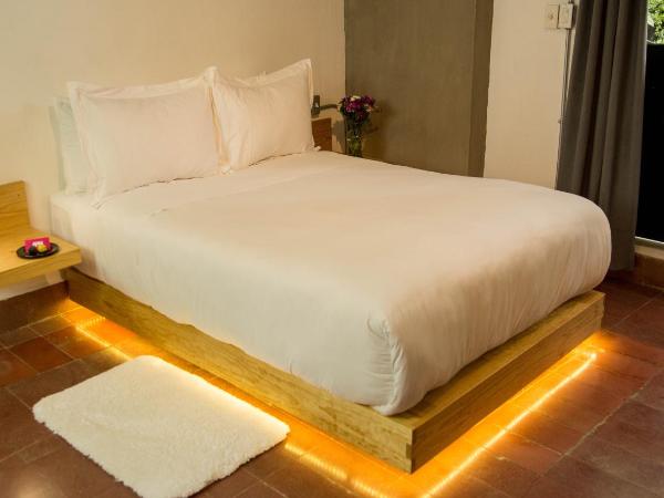 Agrado Guest House : photo 2 de la chambre chambre simple - vue sur jardin