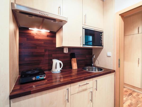 Penzion Palouček : photo 4 de la chambre studio avec balcon