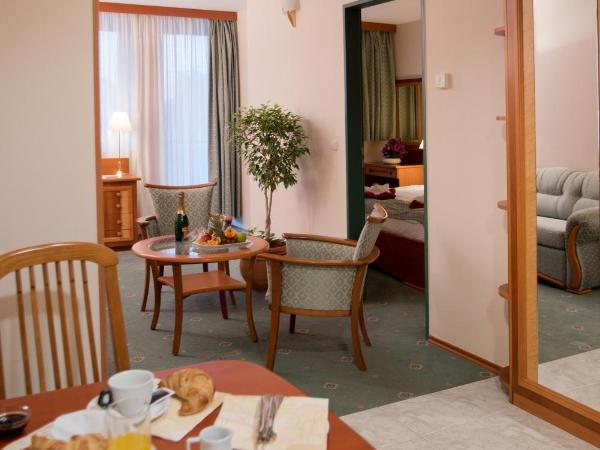 Palace Hotel Hévíz : photo 2 de la chambre appartement 1 chambre