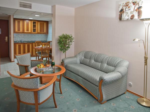 Palace Hotel Hévíz : photo 1 de la chambre appartement 1 chambre