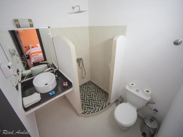 Hotel Riad Amlal : photo 8 de la chambre chambre deluxe double ou lits jumeaux