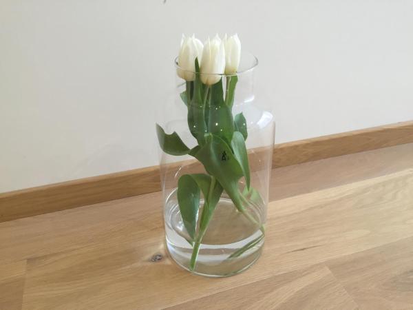 Antwerp Town House Accommodations : photo 5 de la chambre chambre simple avec douche