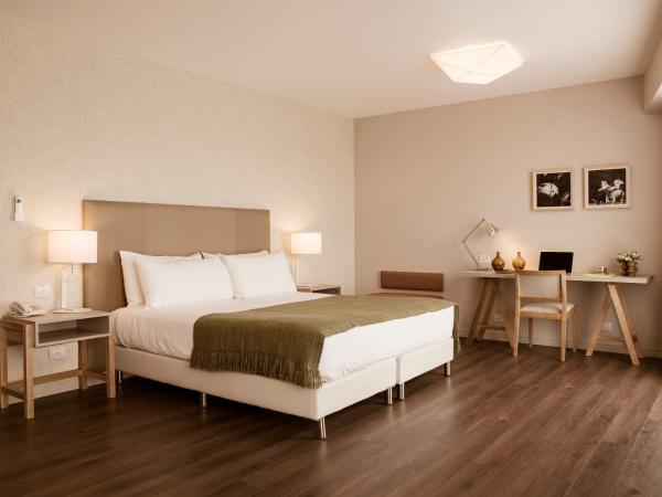 Dazzler by Wyndham Polo : photo 7 de la chambre chambre lit queen-size accessible aux personnes à mobilité réduite - non-fumeurs