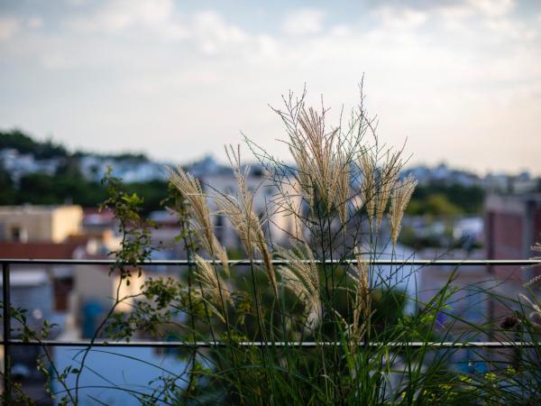 The Foundry Suites : photo 1 de la chambre appartement - vue sur jardin