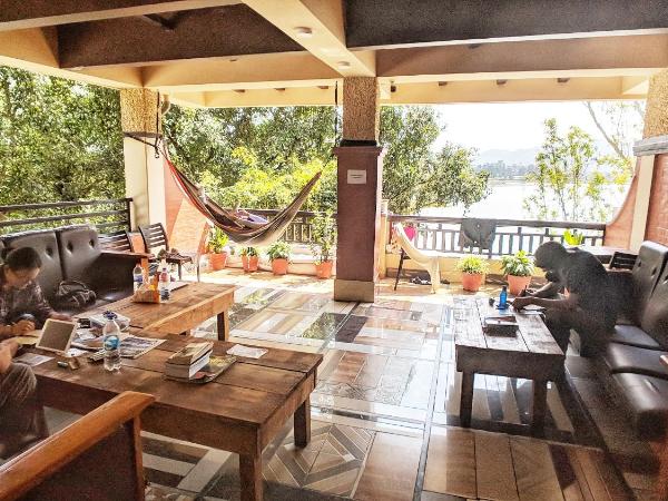 Hotel Forest Lake Backpackers' Hostel : photo 1 de la chambre chambre double ou lits jumeaux Économique 