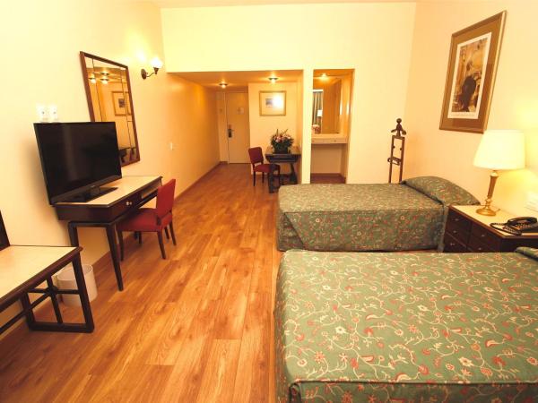 Dayrell Hotel e Centro De Convenções : photo 7 de la chambre chambre lit queen-size deluxe