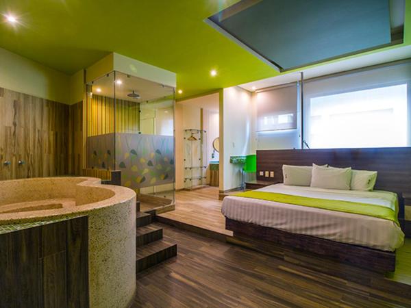 Hotel y Villas Natura : photo 7 de la chambre chambre double avec baignoire spa
