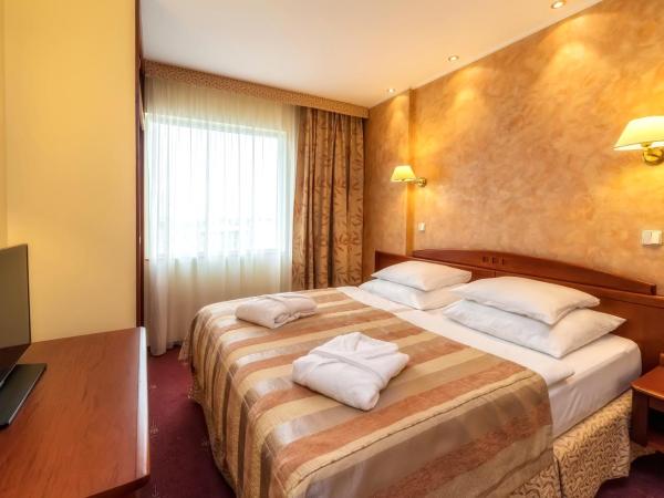 HP Park Plaza : photo 2 de la chambre studio