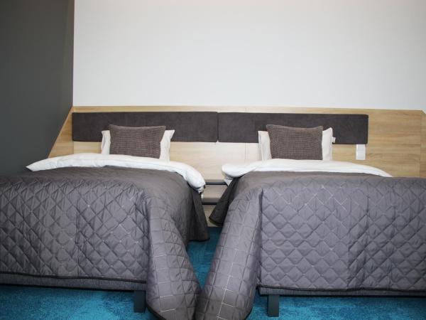 Lemon Plaza Hotel : photo 1 de la chambre chambre double supérieure