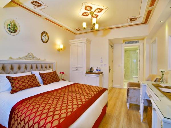 Yılsam Sultanahmet Hotel : photo 2 de la chambre chambre simple deluxe