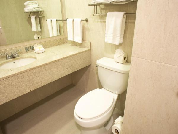 Hotel Plaza Calzada : photo 3 de la chambre chambre lit king-size - non-fumeurs