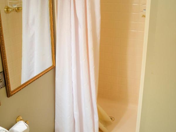 Edgar Degas House Historic Home and Museum : photo 9 de la chambre chambre double de luxe - 5634906