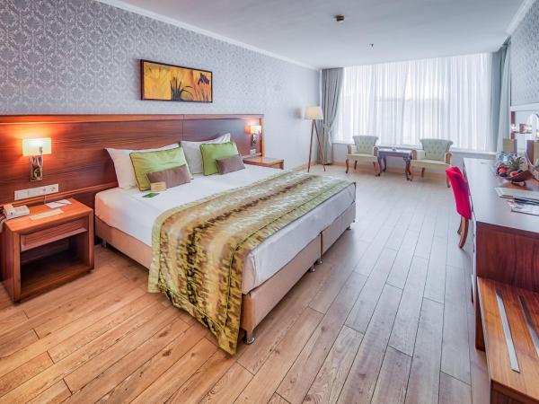 Atakosk Group Hotels : photo 5 de la chambre chambre double ou lits jumeaux standard