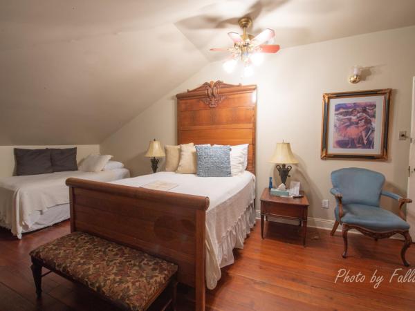 Edgar Degas House Historic Home and Museum : photo 1 de la chambre chambre double de luxe - 5634914