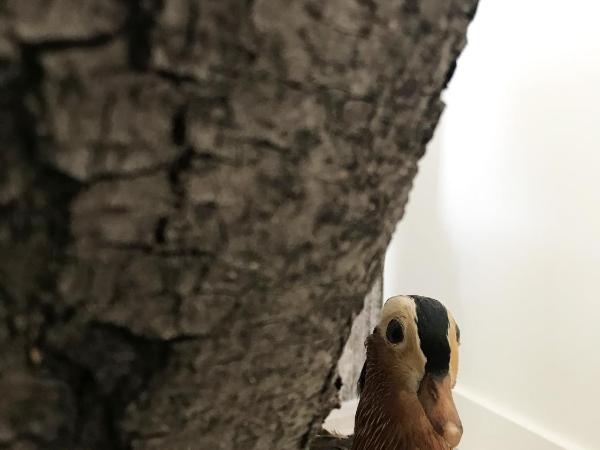 Fico : photo 10 de la chambre studio deluxe