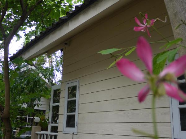 Reera Resort : photo 4 de la chambre cottage - vue sur jardin