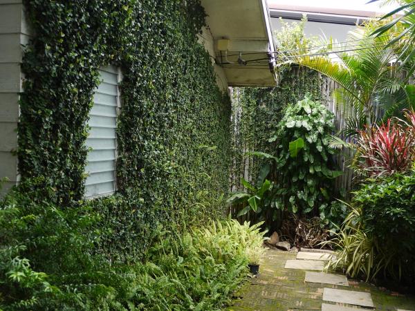 Reera Resort : photo 8 de la chambre cottage - vue sur jardin