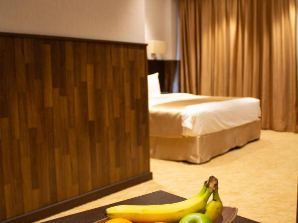 The Secure Inn Hotel Muscat : photo 2 de la chambre chambre elite