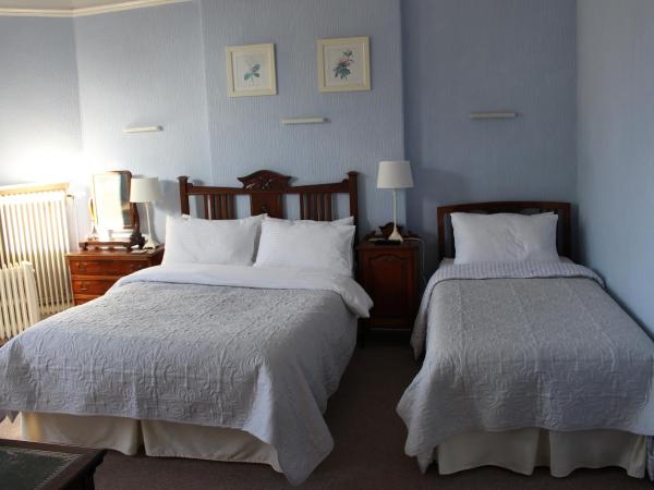 The Elms Guest House Bristol : photo 7 de la chambre chambre lits jumeaux spacieuse