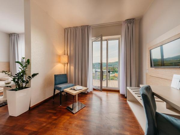 Maximus Resort : photo 7 de la chambre suite 1 chambre