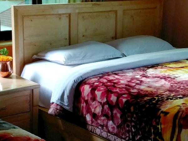 Hotel Diplomat : photo 7 de la chambre chambre triple standard