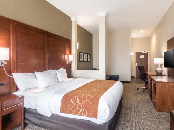 Comfort Suites Meridian and I-40 : photo 6 de la chambre suite lit king-size