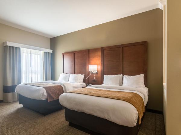 Comfort Suites Meridian and I-40 : photo 3 de la chambre chambre avec 2 lits queen-size - accessible aux personnes à mobilité réduite