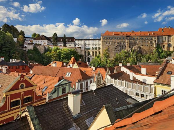 Hotel Zlaty Andel : photo 6 de la chambre appartement luxe