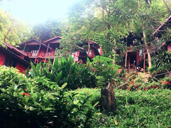 Phi Phi Green Hill Resort : photo 5 de la chambre chambre double deluxe