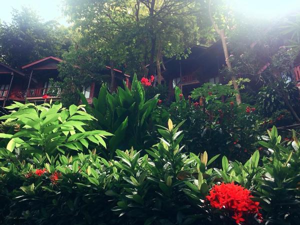 Phi Phi Green Hill Resort : photo 6 de la chambre chambre double deluxe