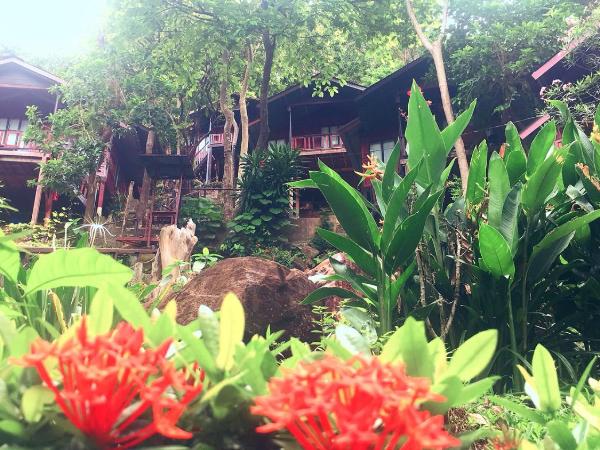 Phi Phi Green Hill Resort : photo 7 de la chambre chambre double deluxe