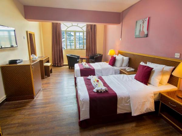 Mutrah Hotel : photo 8 de la chambre chambre lits jumeaux