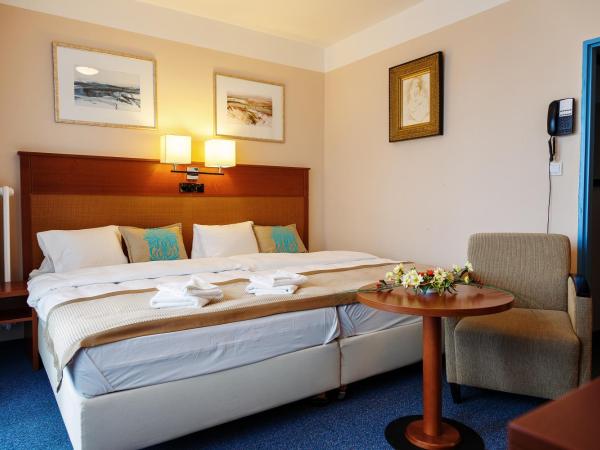 Hotel Marttel : photo 7 de la chambre chambre double ou lits jumeaux