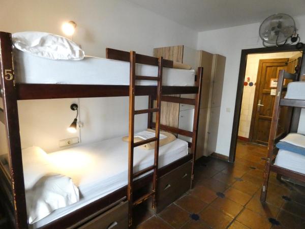 Oasis Backpackers' Hostel Granada : photo 5 de la chambre lit dans dortoir pour femmes de 6 lits